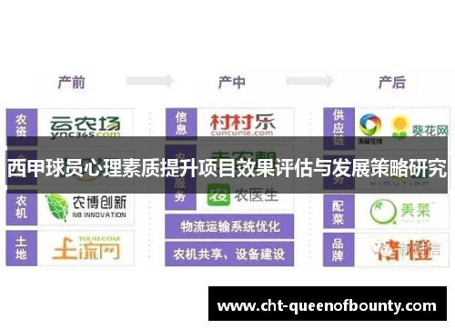 西甲球员心理素质提升项目效果评估与发展策略研究