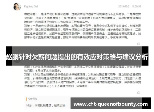 赵鹏针对欠薪问题提出的有效应对策略与建议分析